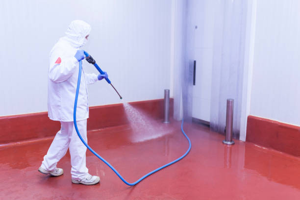 Reliable Elizabethton, TN  Pressure Washing Services Solutions